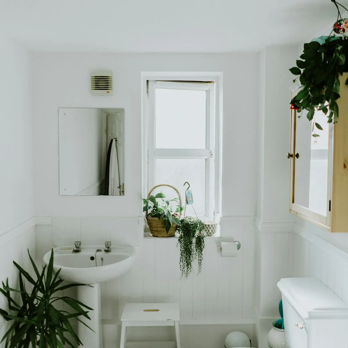 The Garden Suite photo 1
