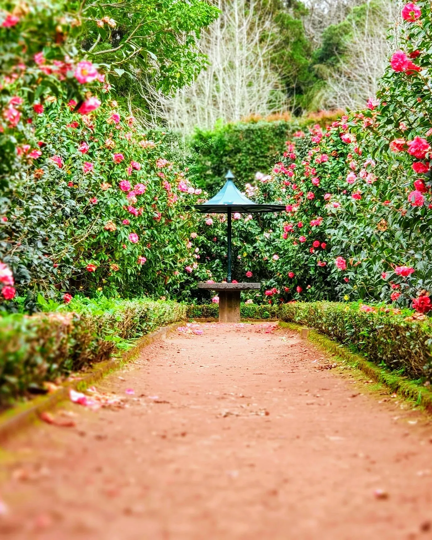 The Garden Suite